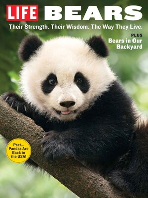 cover image of LIFE Bears